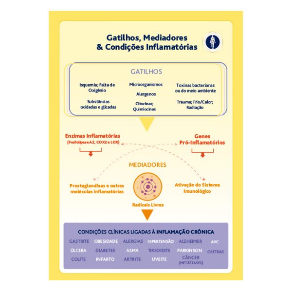 Lâmina  Impressa Gatilhos, mediadores e condições inflamatórias