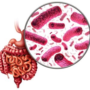 Microbioma Intestinal